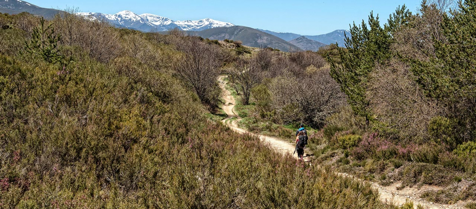 Santiago-de-Compostela-4