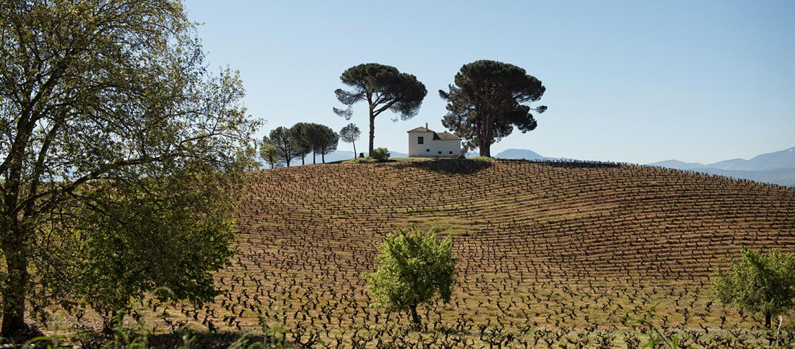 Santiago-de-Compostela-6