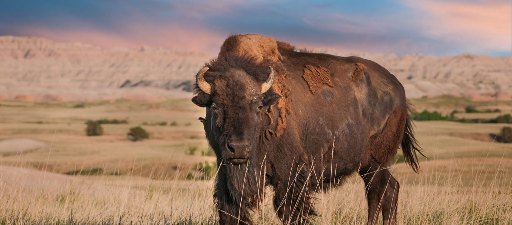 badlands-national-park