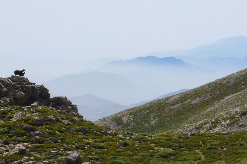11-Coulissenlandschap-op-2000-meter-1-600x398.jpg 11-Coulissenlandschap-op-2000-meter-1-600x398.jpg