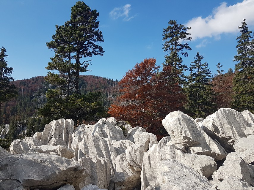 20181011_150252-600x450.jpg Velebit National Park