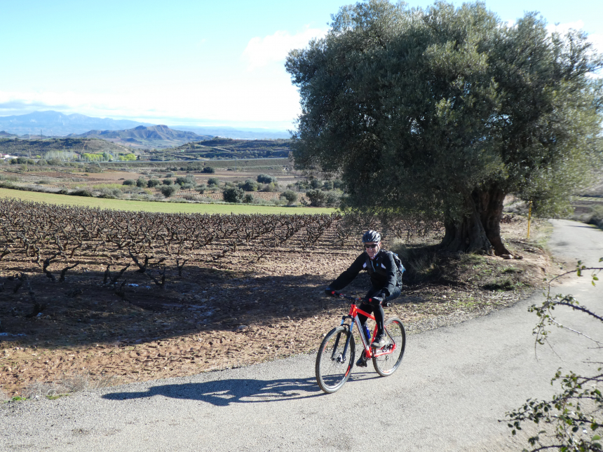 Fietsen in de Rioja
