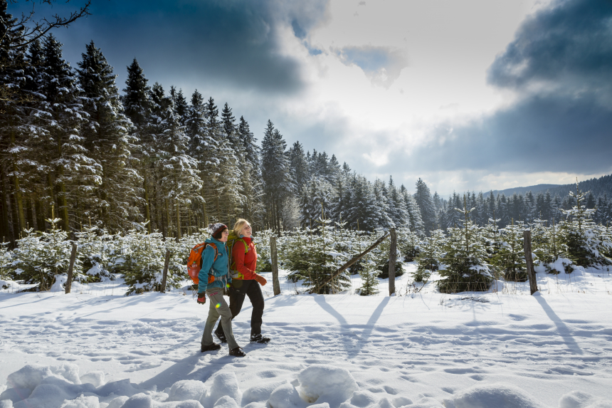 Rothaarsteig wandelaars