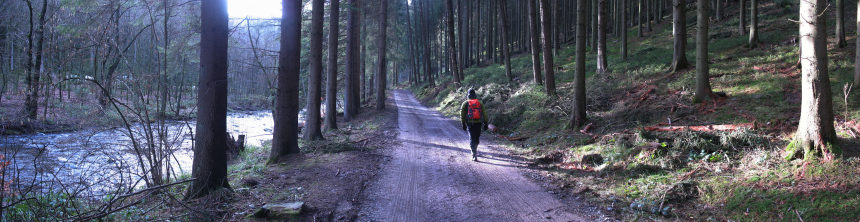 Wandelen Belgie Hoge Venen 01