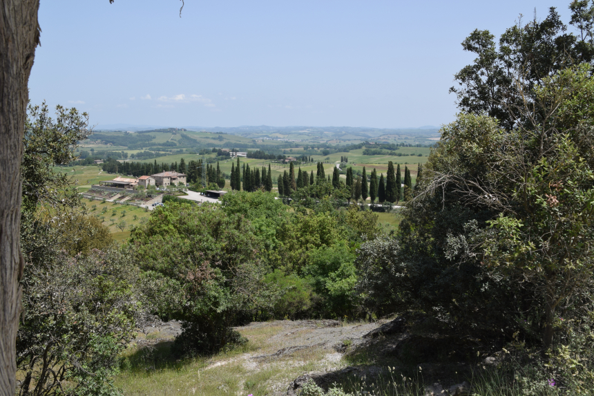 Toscane, uitzicht op de wijngaarden