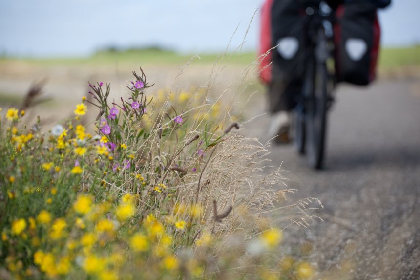 Rondje Nederland Fietsen