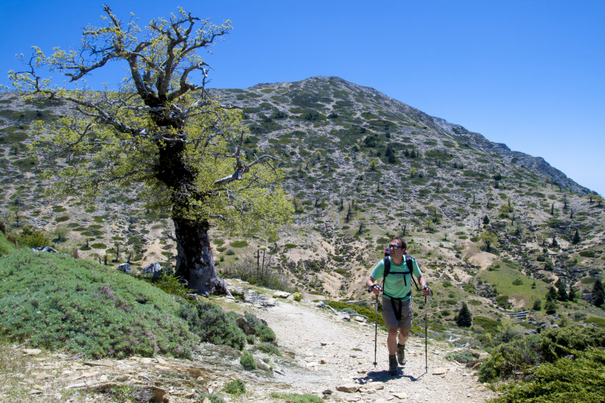 Sierra de las Nieves