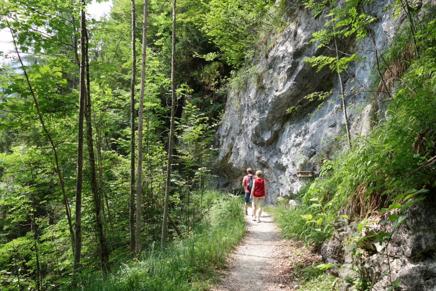 Oostenrijk, mensen lopen in de bossen