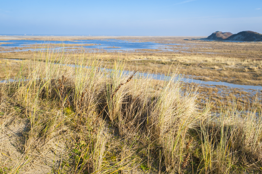 Waddenpad Schiermonnikoog