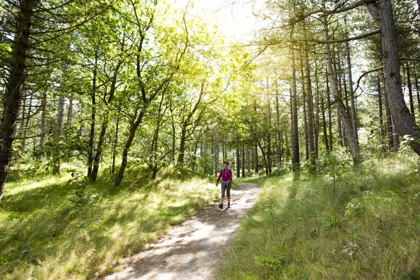 Wandelen LAW routes Nederland