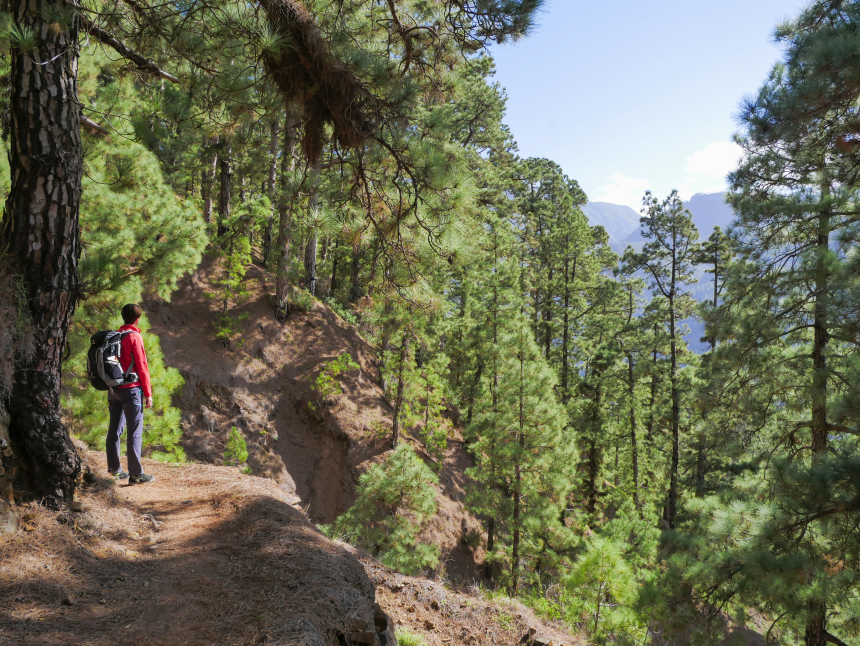 Wandelen op La Palma