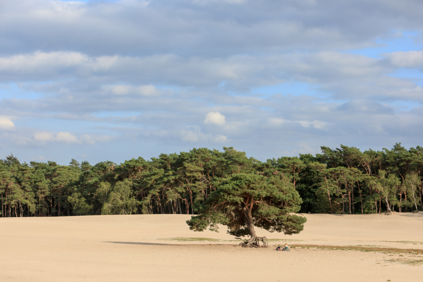 Wandelen op de Utrechtse Heuvelrug