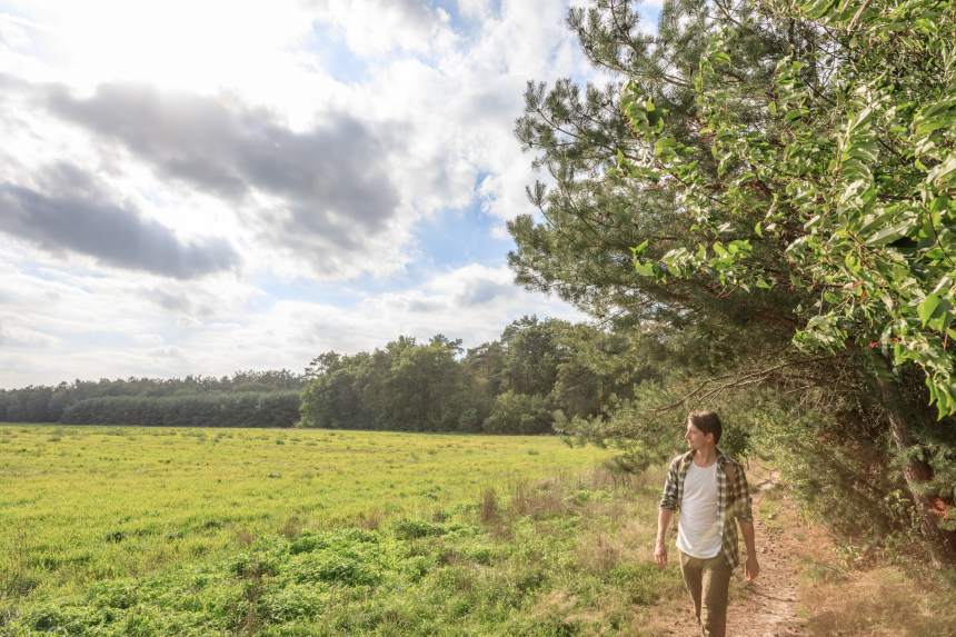 Wandelen op de Utrechtse Heuvelrug