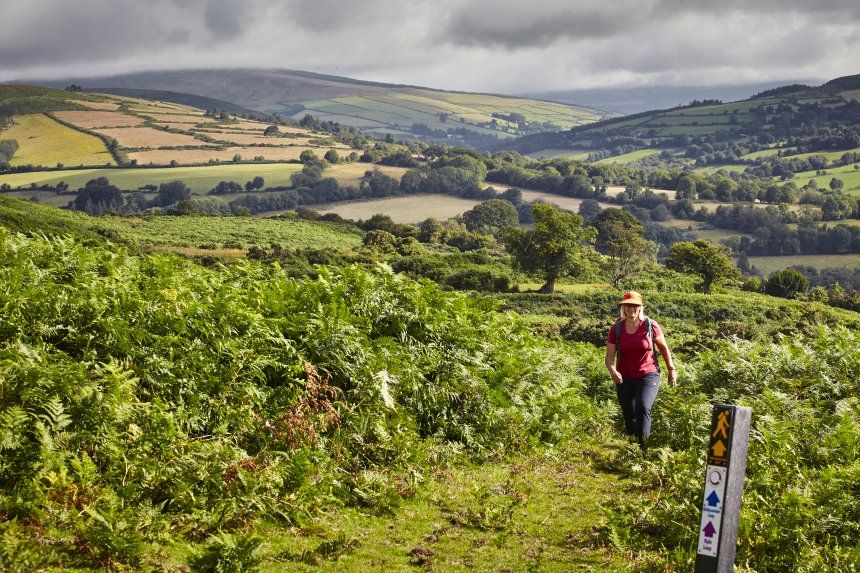 Wandelen Ierland Wicklow Way