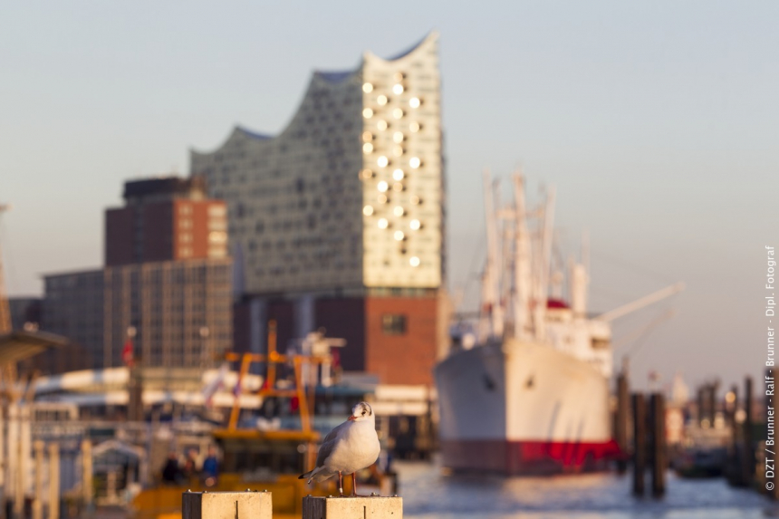 Elbphilharmonie - Hamburg