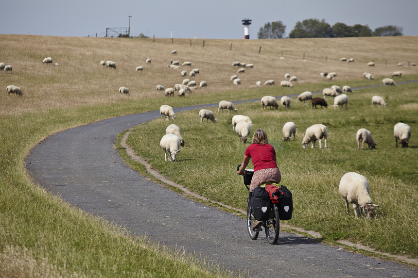 Fietsen in Noord-Duitsland