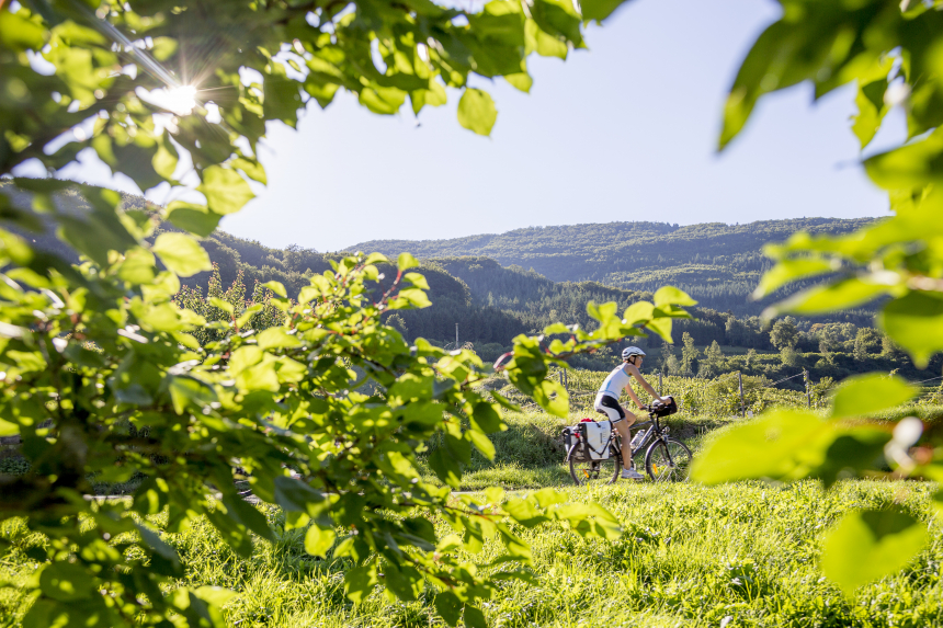 Fietsen over de Donauradweg