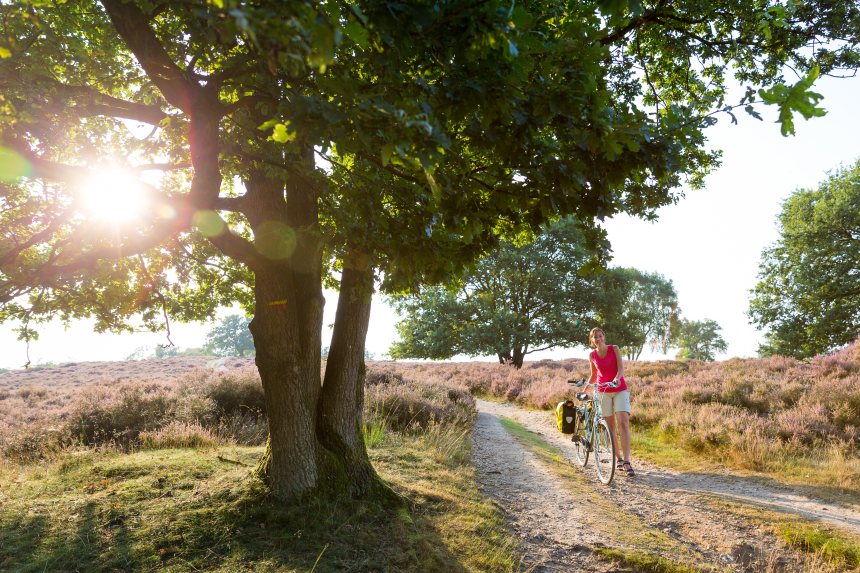 Fietserpad fietsen langs het Pieterpad