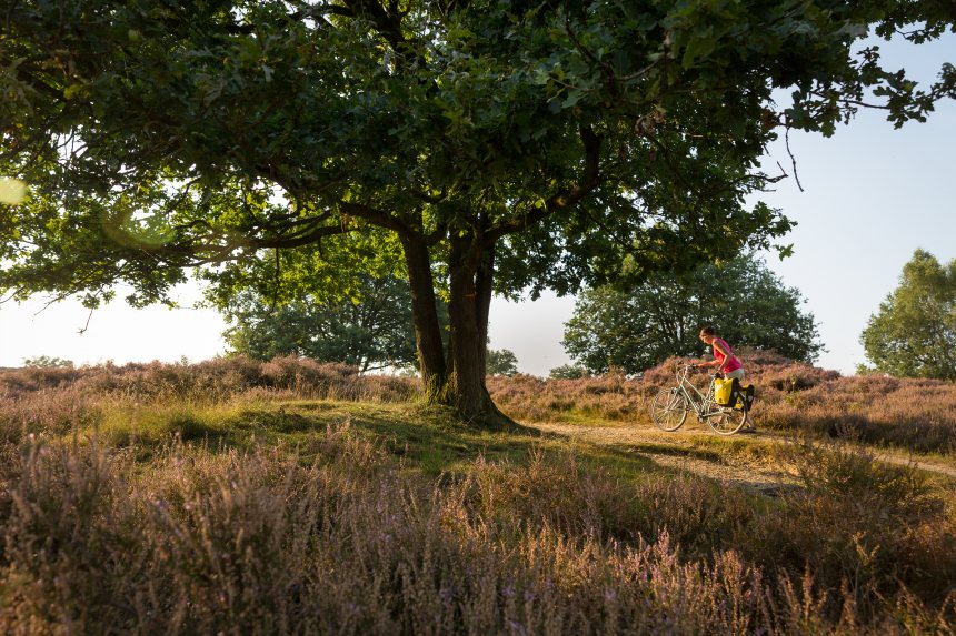 Fietserpad fietsen langs het Pieterpad
