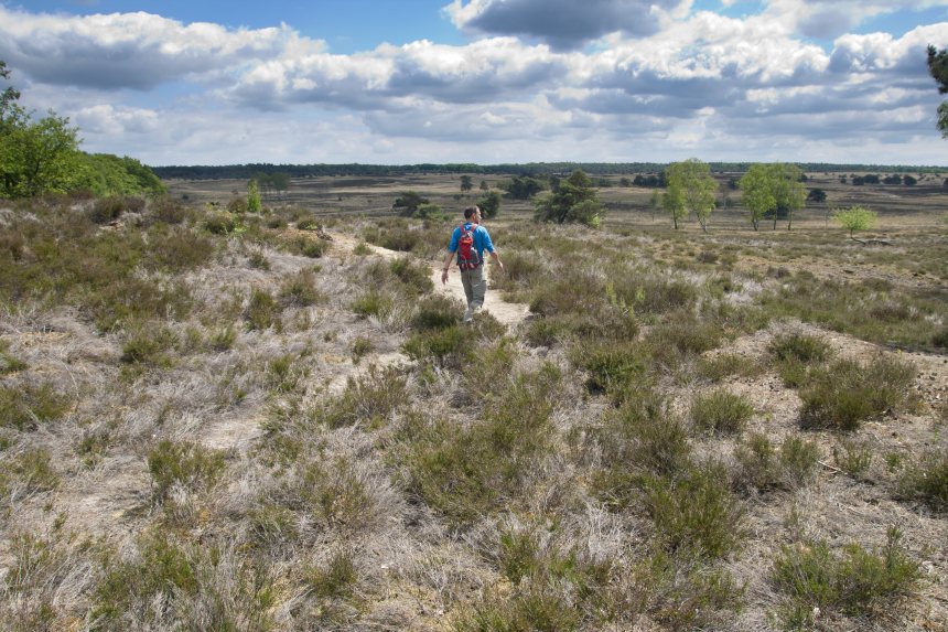 Wandelen Veluwe Edelherttrail