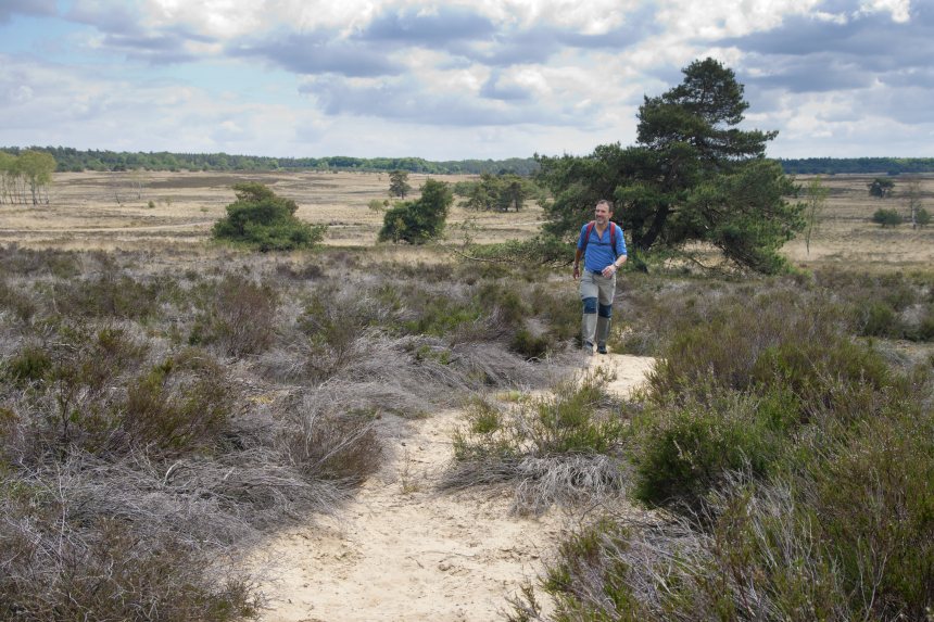 Edelherttrail Wandelroute Veluwe