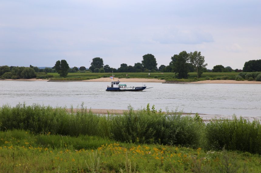 Edelherttrail Wandelroute Maas en Waal