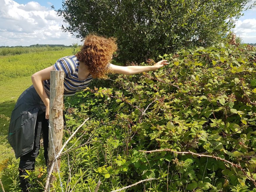 Tiengemeten