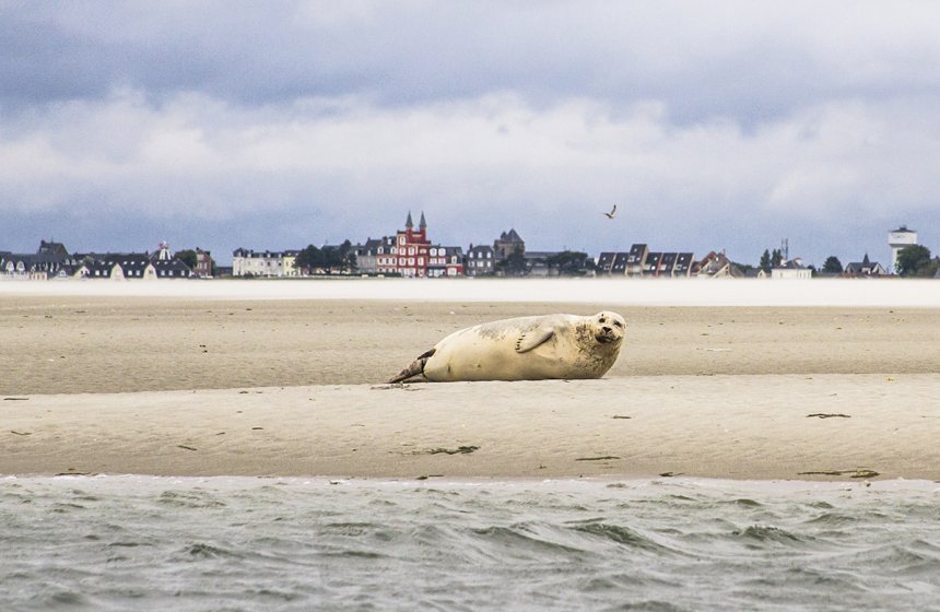 Baai van de Somme