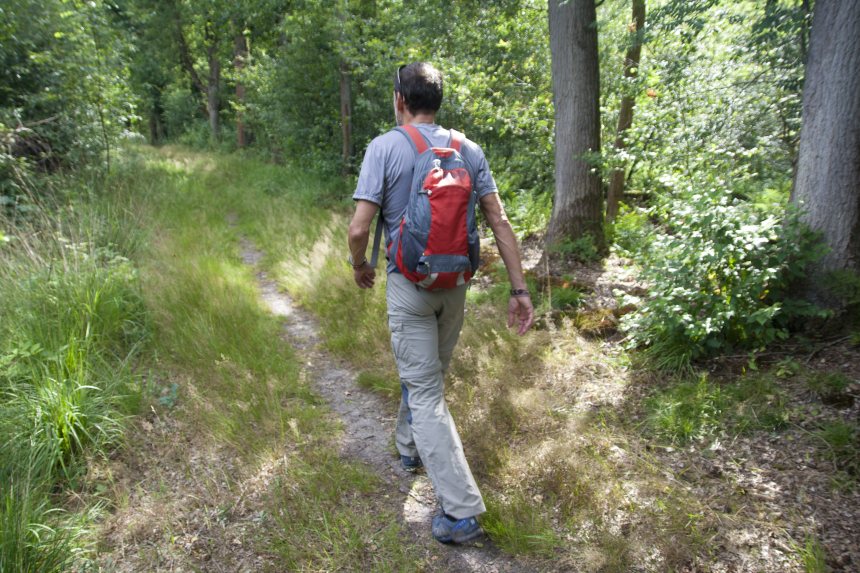 Wandelen Drunense Duinen De Brand