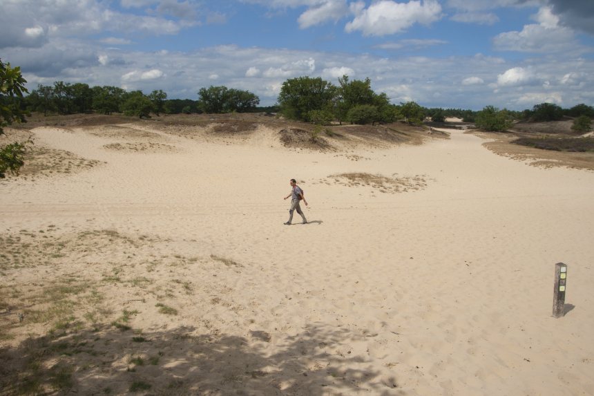 De Brand & Drunense Duinen