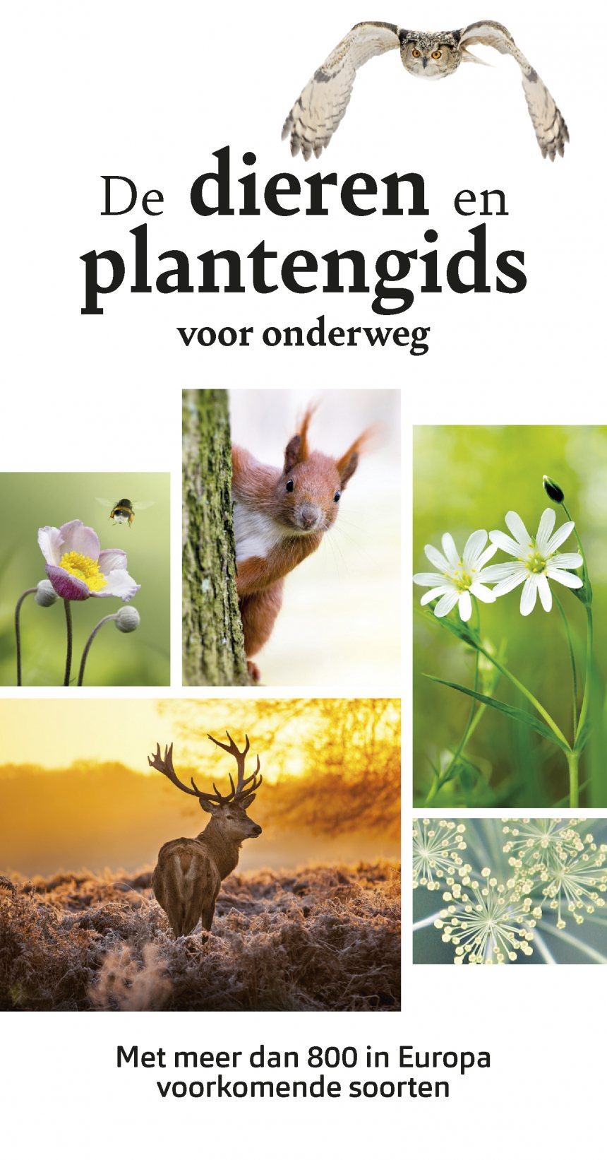 Cover De dieren en plantengids voor onderweg