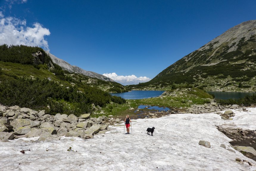 Pirin National Park