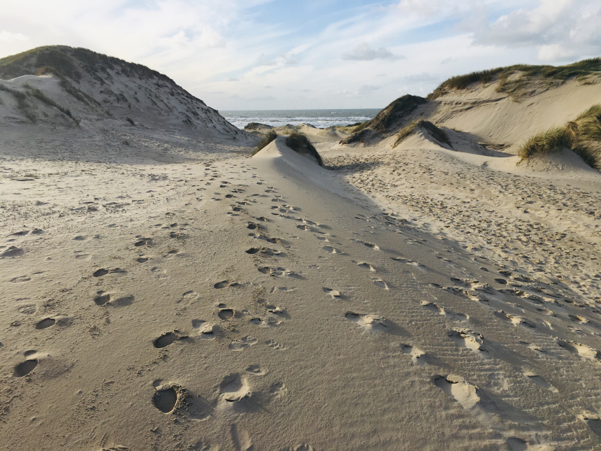 Noordhollands Duinreservaat