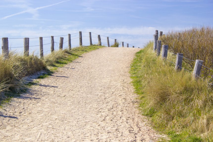 De duinen van Zoutelande