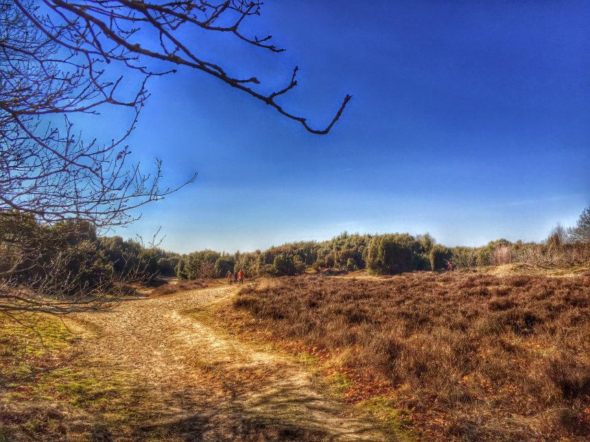 Wandelroutes Drenthe