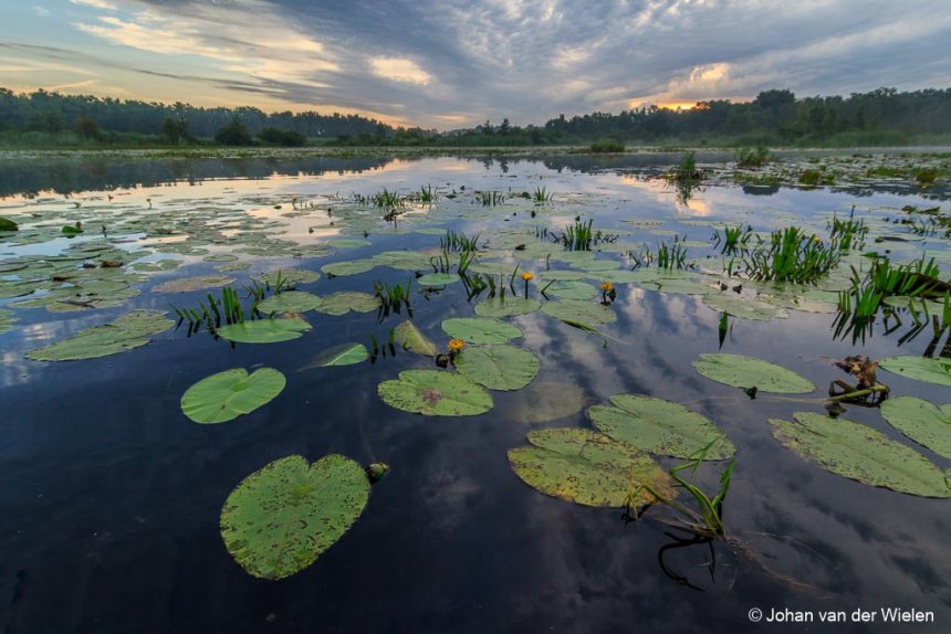 Landschapsfotografie