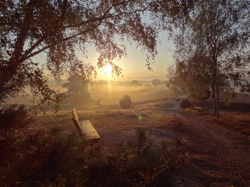 Natuurpark Hohe Mark