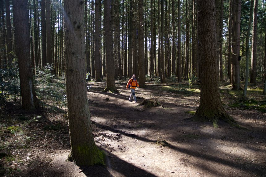 HeuvelrugHike wandelroute Utrechtse Heuvelrug