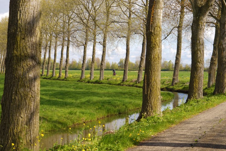 Fietserpad fietsroute