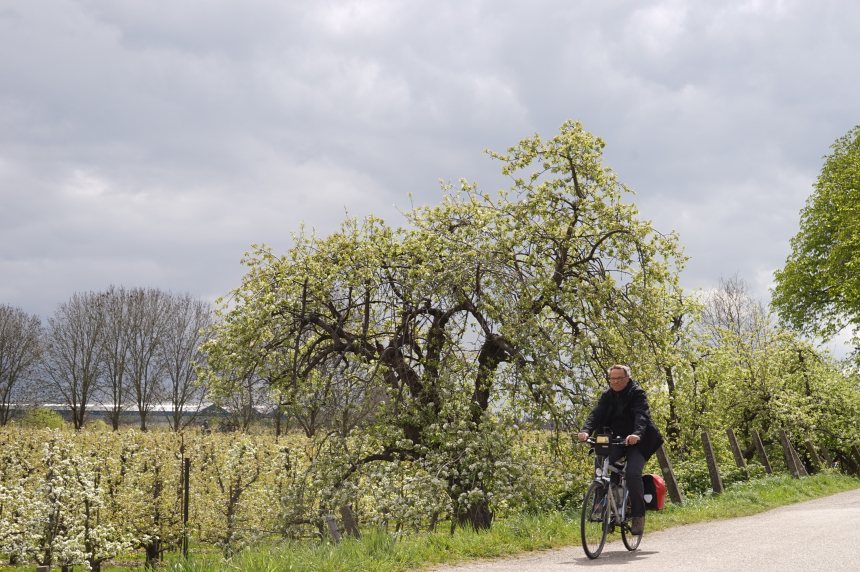 Fietserpad fietsroute