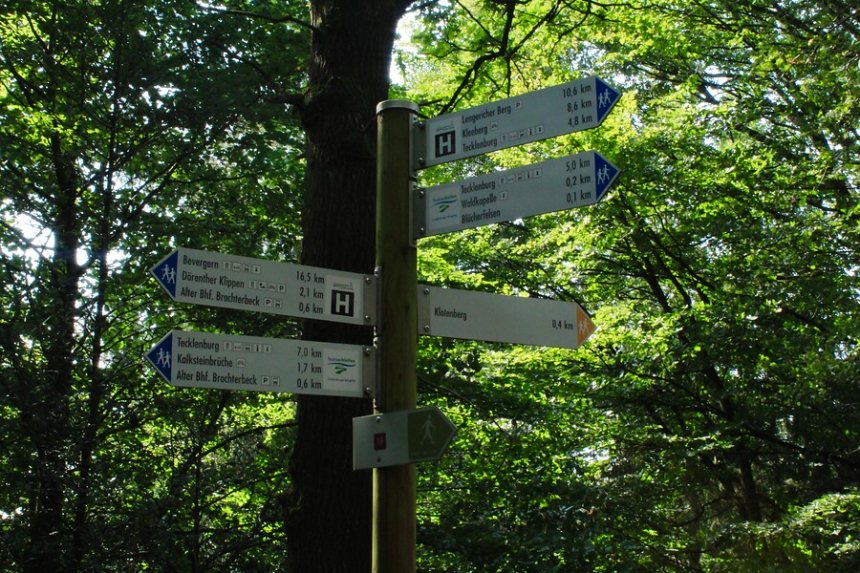 Wegwijzers in het Teutoburger Woud