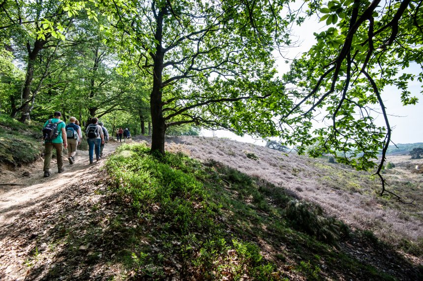 Cursussen shop training