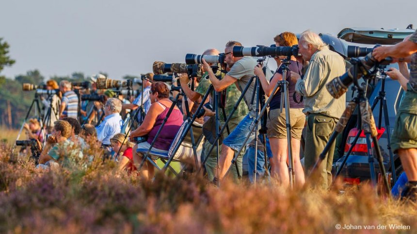 Fotografen op een rij in National Park de Hoge Veluwe