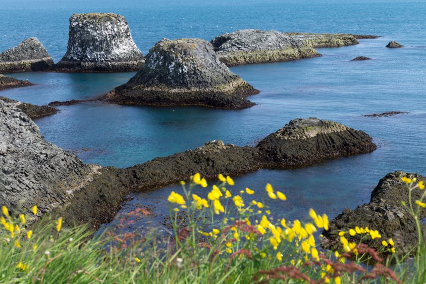 Ijsland Snæfellsnes Arnarstapi Basaltklippen wandelen