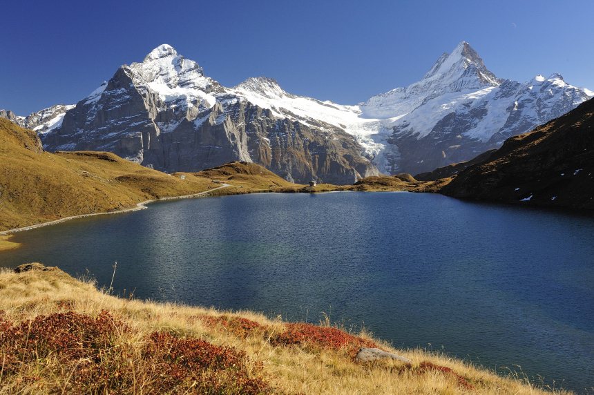 Finsteraarhorn Bachalpsee