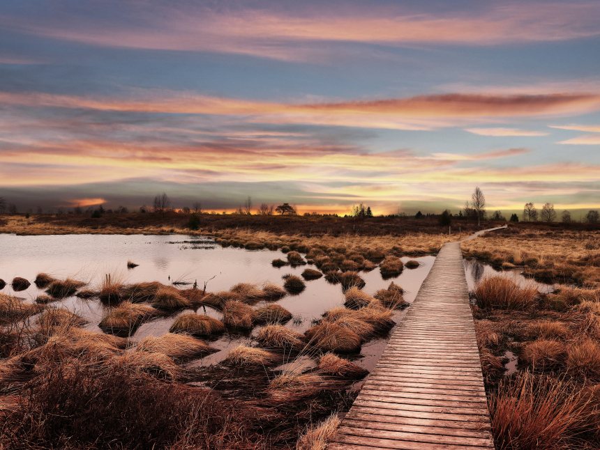 Edelherttrail Wandelroute Hoge Venen