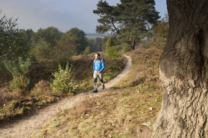 Wandelroute Sallandse Toppentocht