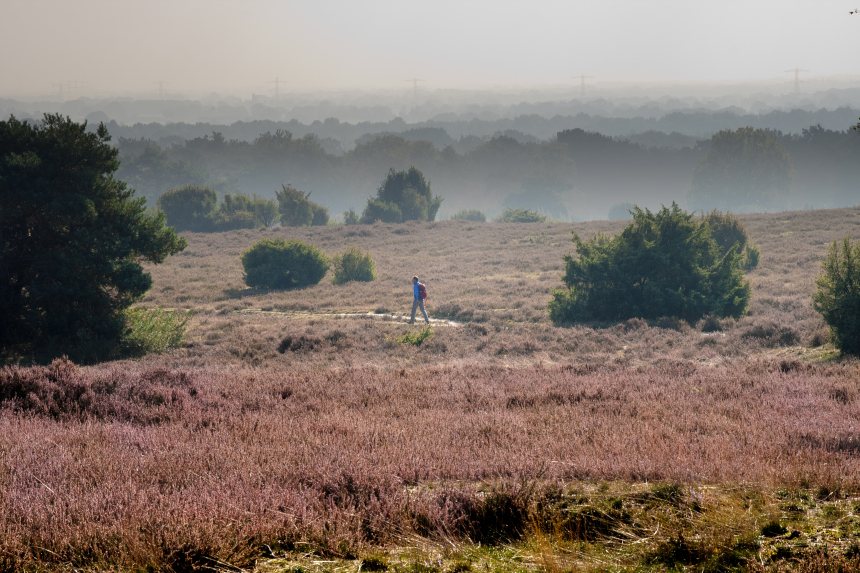 Wandelroute Sallandse Toppentocht
