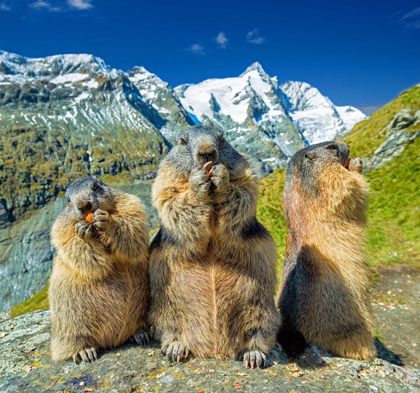 Grossglockner