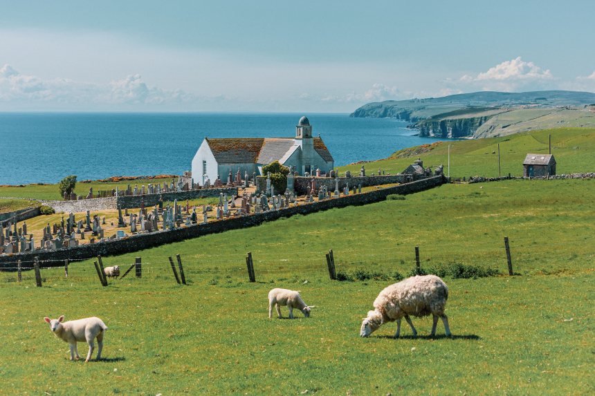 Schapen in Schotland